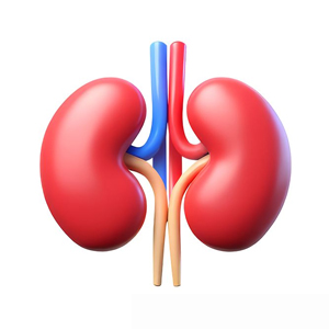 Kidney & Urinary Care