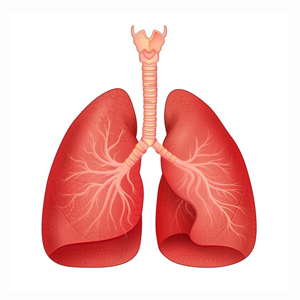 Lung & Respiratory Care